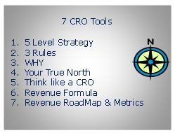 eBook Section 12: “Revenue Science™” Rules & Tools for the 21st Century